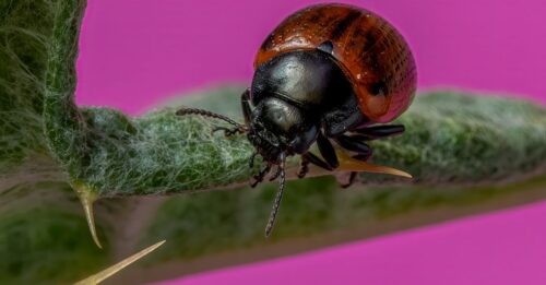 découvrez comment identifier et résoudre rapidement les bugs de démarrage sur windows pour optimiser les performances de votre ordinateur.