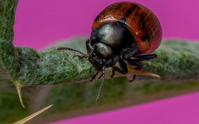 découvrez comment identifier et résoudre rapidement les bugs de démarrage sur windows pour optimiser les performances de votre ordinateur.