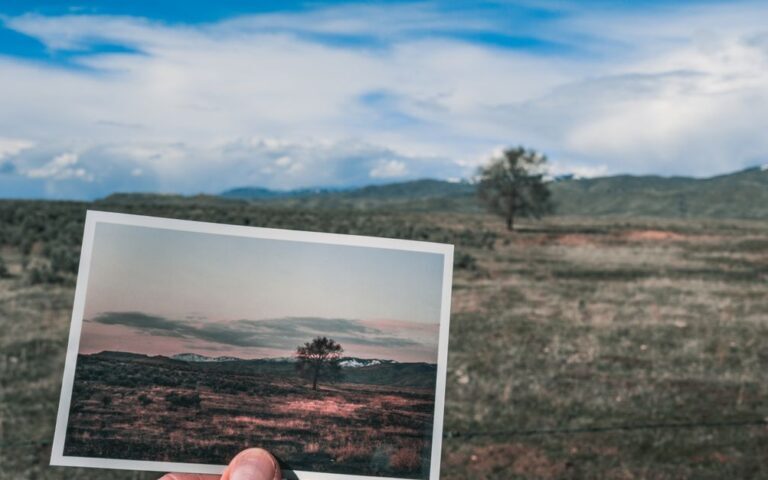 découvrez comment restaurer la visionneuse de photos windows pour retrouver une expérience simple et rapide de visualisation d'images sur votre ordinateur.