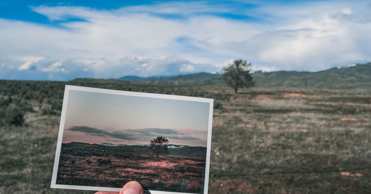 découvrez comment restaurer la visionneuse de photos windows pour retrouver une expérience simple et rapide de visualisation d'images sur votre ordinateur.